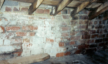 Dry or Wet Rot